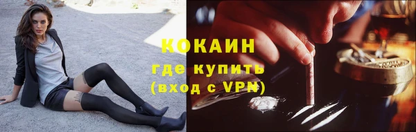мяу мяу мука Гусев