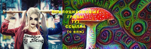 прущая мука Гусиноозёрск