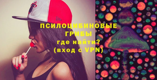прущая мука Гусиноозёрск