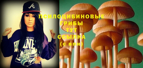 бошки Гусь-Хрустальный