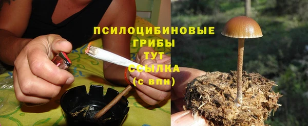 мяу мяу мука Гусев