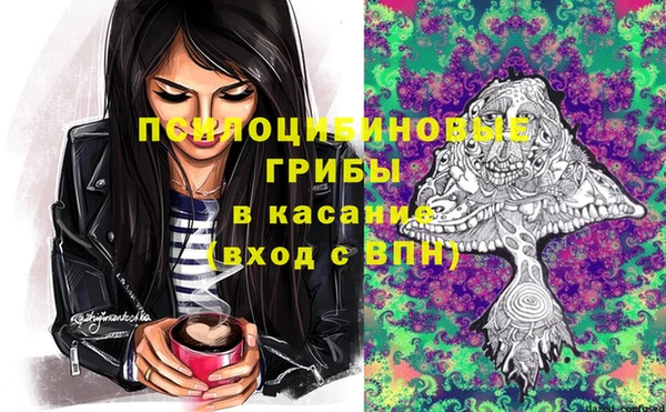 бошки Гусь-Хрустальный