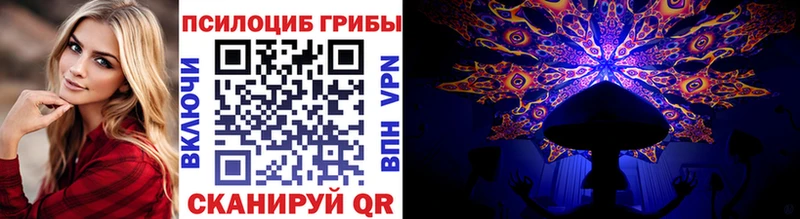 Купить  Краснослободск  Галлюциногенные грибы MAGIC MUSHROOMS 